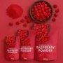 Freeze-Dried Raspberry